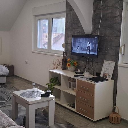 Apartments Ivanovic Center City Bajina Basta Exterior photo